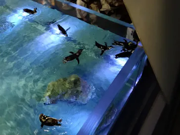 すみだ水族館に投稿された画像（2021/6/26）