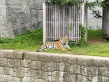 天王寺動物園に投稿された画像（2021/6/26）