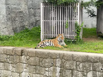 天王寺動物園に投稿された画像（2021/6/26）