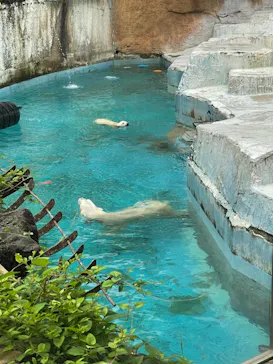 天王寺動物園に投稿された画像（2021/6/26）