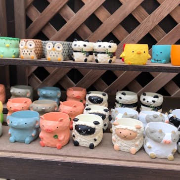 伊豆シャボテン動物公園に投稿された画像（2021/6/26）