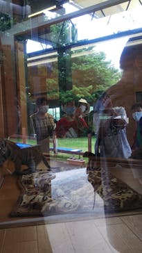 秋吉台自然動物公園 サファリランドに投稿された画像（2021/6/26）