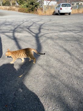 しろとり動物園に投稿された画像（2021/6/26）