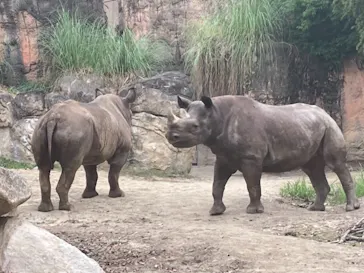天王寺動物園に投稿された画像（2021/6/26）