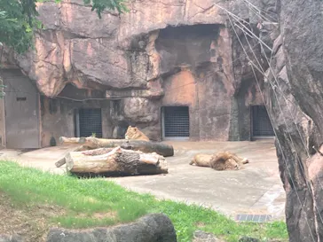 天王寺動物園に投稿された画像（2021/6/26）