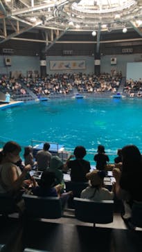 マクセル アクアパーク品川に投稿された画像（2021/6/26）