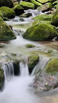 屋久島ガイド21EC-Kに投稿された画像（2021/6/26）