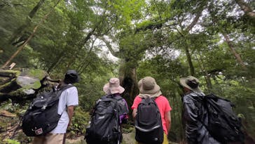 屋久島ガイド21EC-Kに投稿された画像（2021/6/26）