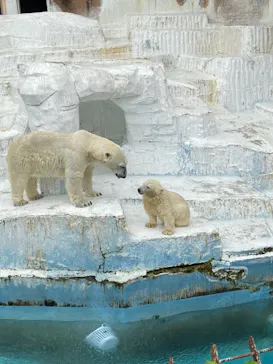 天王寺動物園に投稿された画像（2021/6/26）