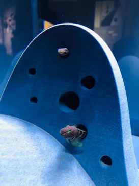 すみだ水族館に投稿された画像（2021/6/26）
