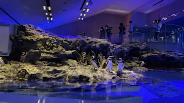 すみだ水族館に投稿された画像（2021/6/26）