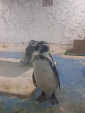 天王寺動物園に投稿された画像（2021/6/26）