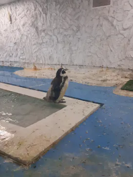 天王寺動物園に投稿された画像（2021/6/26）