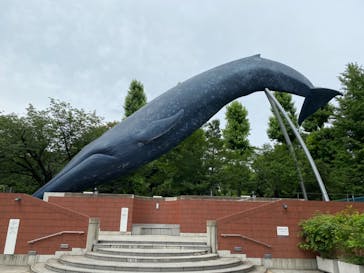 国立科学博物館に投稿された画像（2021/6/26）