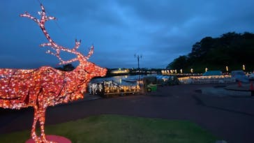 那須高原りんどう湖ファミリー牧場に投稿された画像（2021/6/26）