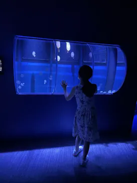 すみだ水族館に投稿された画像（2021/6/26）