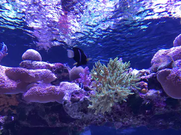 すみだ水族館に投稿された画像（2021/6/26）