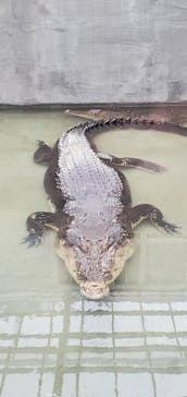 体感型動物園iZooに投稿された画像（2021/6/26）