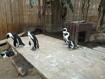 ゼロ距離水族館 伊勢シーパラダイスに投稿された画像（2021/6/26）
