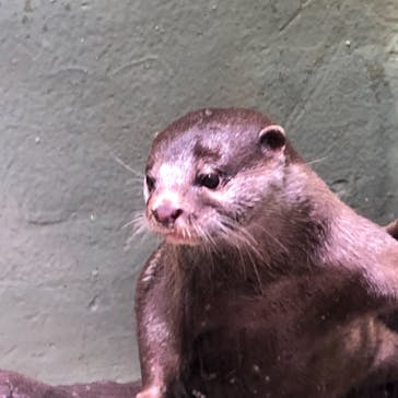 マクセル アクアパーク品川に投稿された画像（2021/6/26）