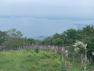 びわ湖バレイに投稿された画像（2021/6/26）