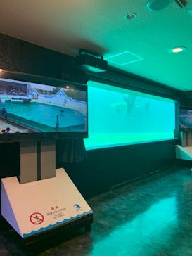 しながわ水族館に投稿された画像（2021/6/27）