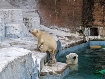 天王寺動物園に投稿された画像（2021/6/27）