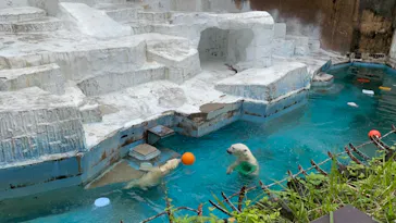 天王寺動物園に投稿された画像（2021/6/27）