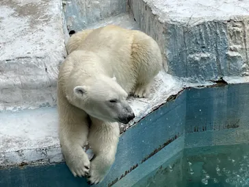 天王寺動物園に投稿された画像（2021/6/27）