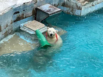 天王寺動物園に投稿された画像（2021/6/27）