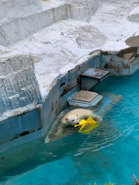 天王寺動物園に投稿された画像（2021/6/27）