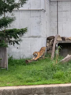 天王寺動物園に投稿された画像（2021/6/27）