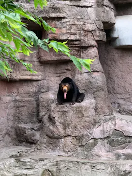 天王寺動物園に投稿された画像（2021/6/27）