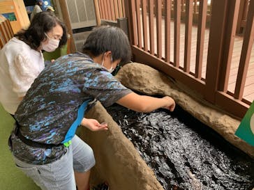新江ノ島水族館に投稿された画像（2021/6/27）