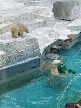天王寺動物園に投稿された画像（2021/6/27）
