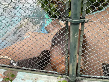 天王寺動物園に投稿された画像（2021/6/27）