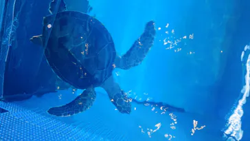 すみだ水族館に投稿された画像（2021/6/27）