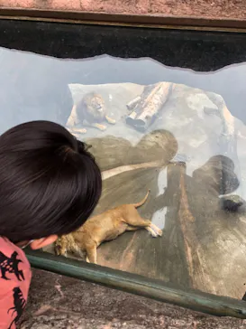 天王寺動物園に投稿された画像（2021/6/27）