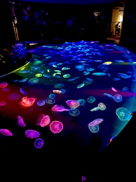 すみだ水族館に投稿された画像（2021/6/27）