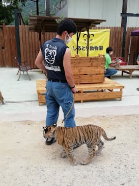 しろとり動物園に投稿された画像（2021/6/27）