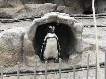 サンシャイン水族館に投稿された画像（2021/6/27）