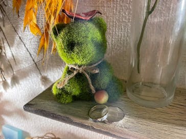 大阪手作り体験のLALALAPOに投稿された画像（2021/6/27）