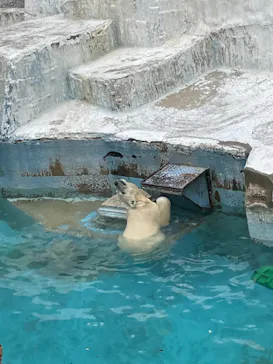 天王寺動物園に投稿された画像（2021/6/27）