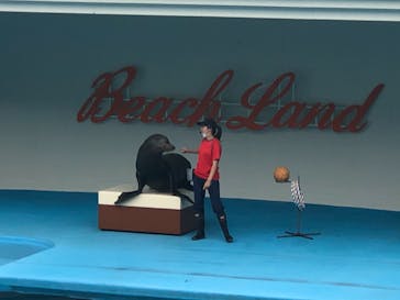 南知多ビーチランド＆南知多おもちゃ王国に投稿された画像（2021/6/27）