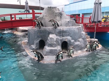 南知多ビーチランド＆南知多おもちゃ王国に投稿された画像（2021/6/27）