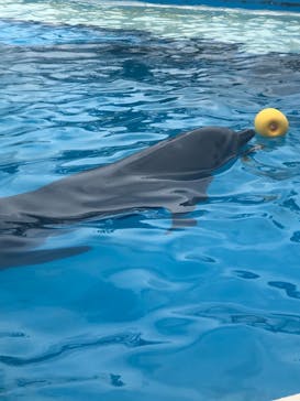 南知多ビーチランド＆南知多おもちゃ王国に投稿された画像（2021/6/27）