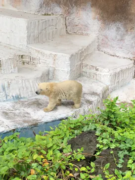 天王寺動物園に投稿された画像（2021/6/27）