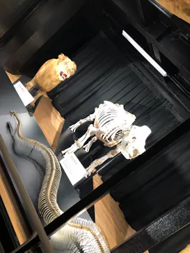 天王寺動物園に投稿された画像（2021/6/27）