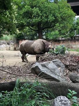 天王寺動物園に投稿された画像（2021/6/27）