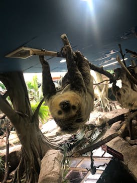 那須どうぶつ王国に投稿された画像（2021/6/27）